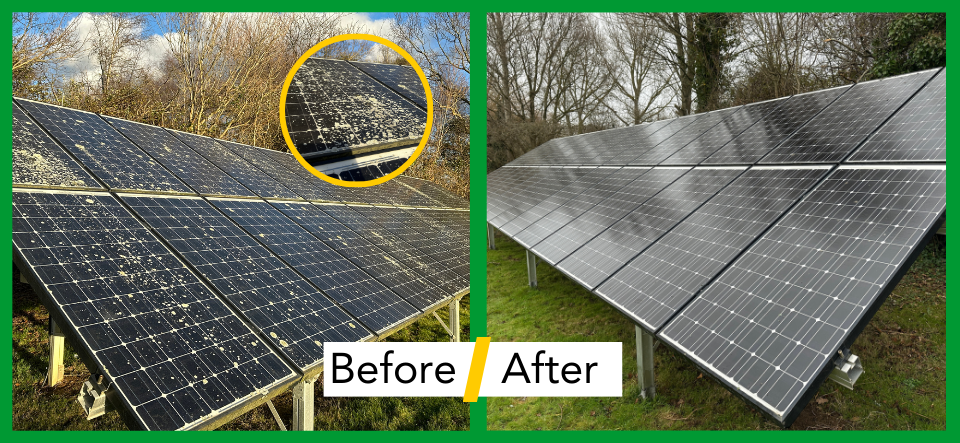 Image showing solar panels covered in lichen and dirt and another image showing the solar panels after they have been cleaned.